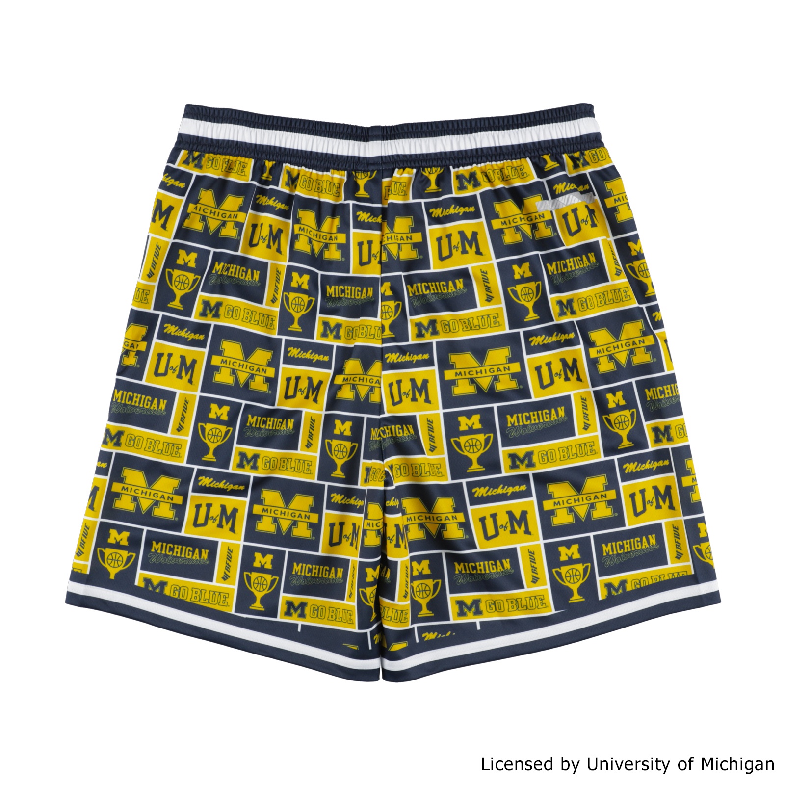 MICHIGAN GRID SHORTS [膝上丈]