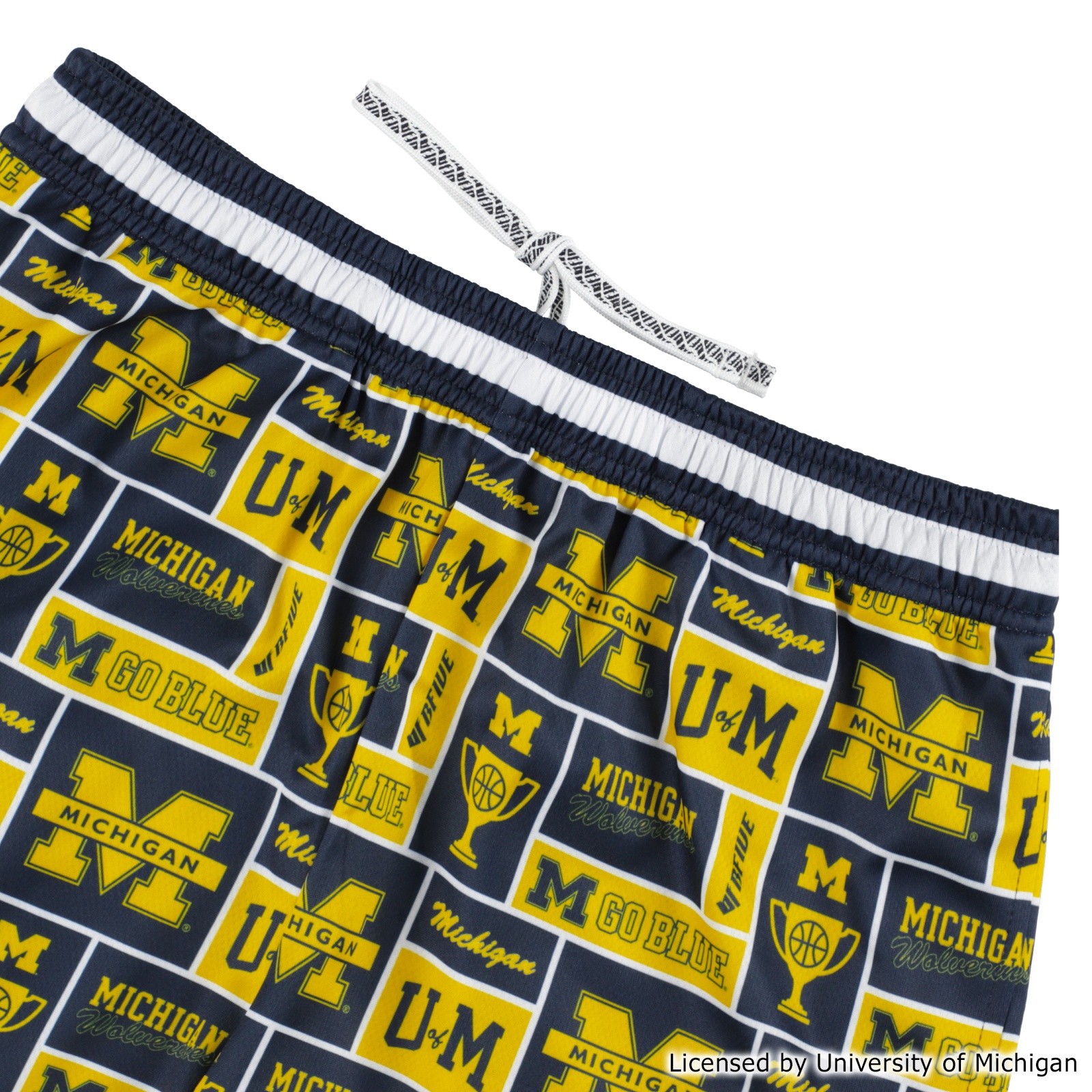 MICHIGAN GRID SHORTS [膝上丈]