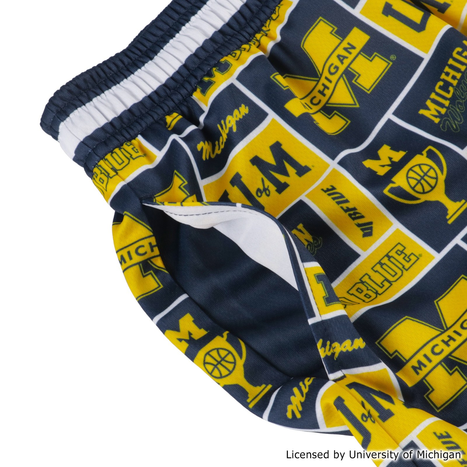 MICHIGAN GRID SHORTS [膝上丈]