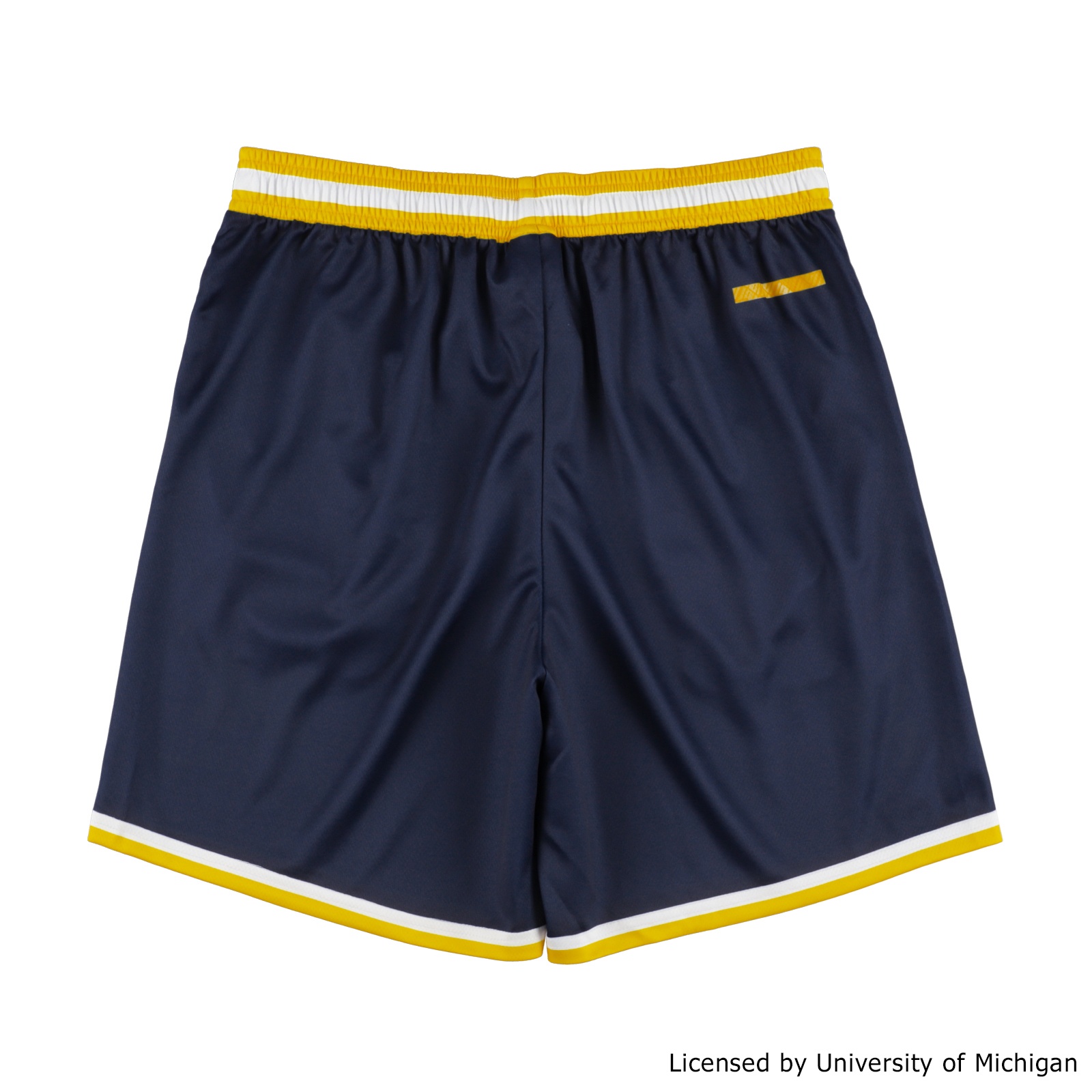 MICHIGAN VARSITY SHORTS NAVY [膝上丈]