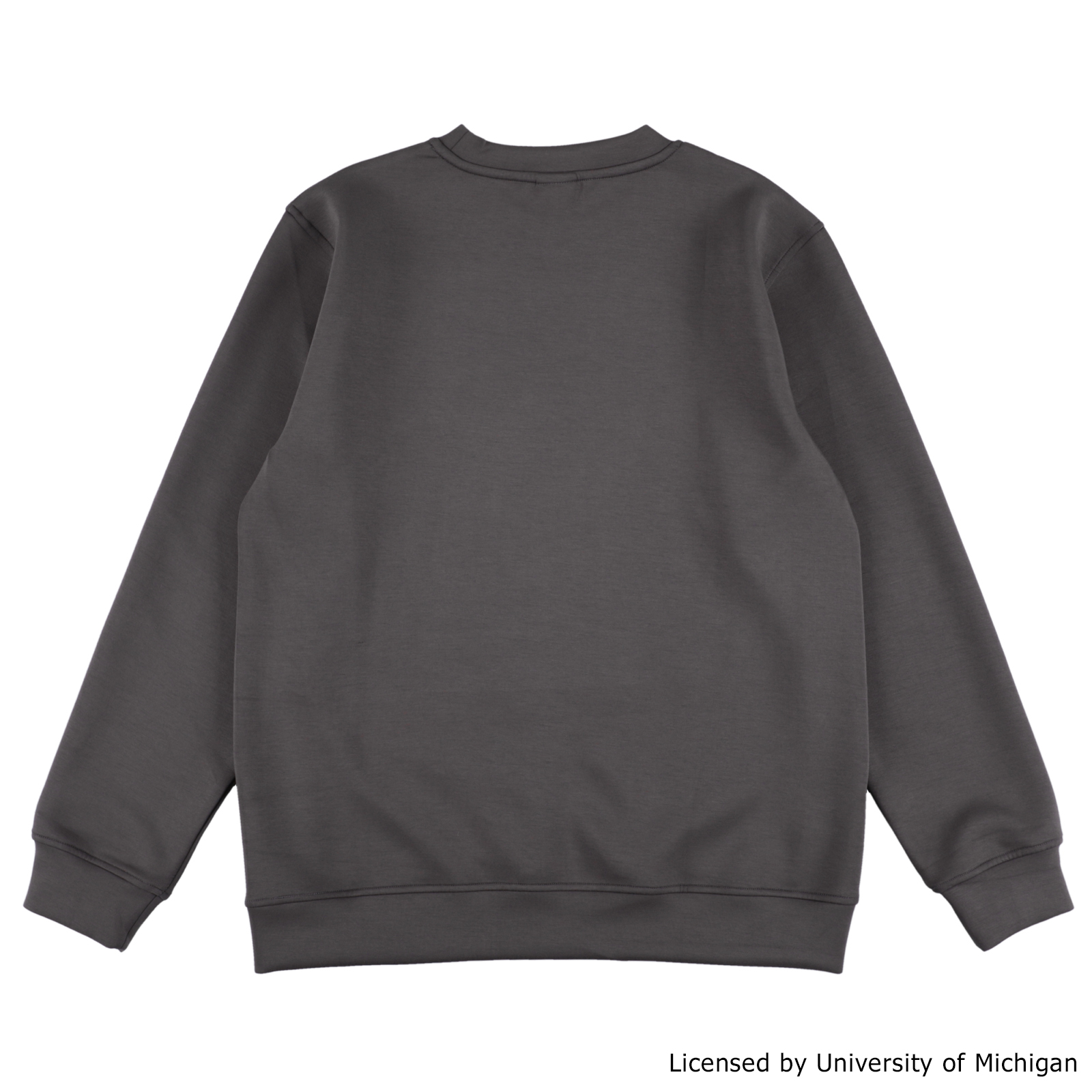 MICHIGAN HIGHLIGHT SWEAT DARK GRAY