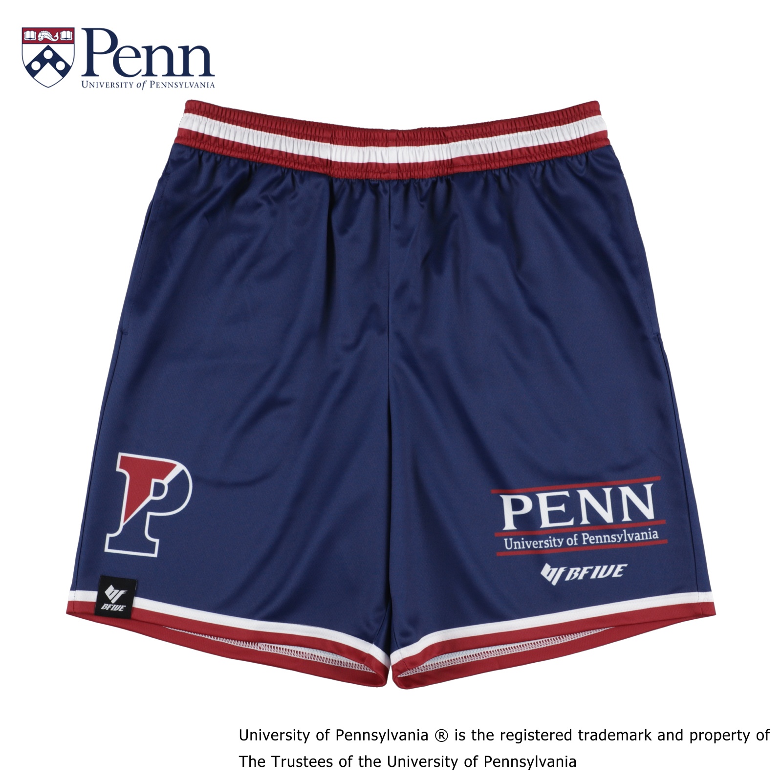 PENN IVY SHORTS NAVY [膝上丈]