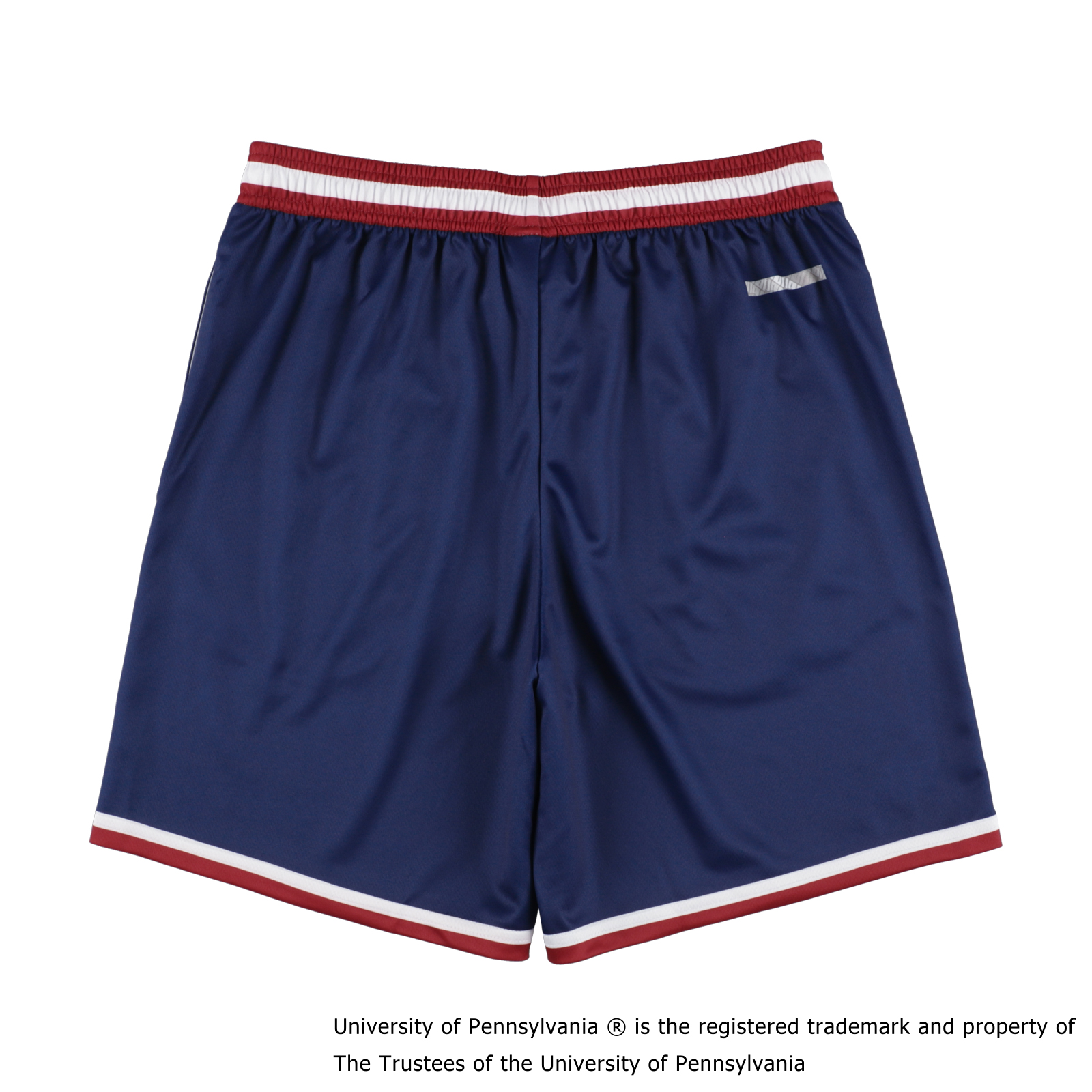 PENN IVY SHORTS NAVY [膝上丈]