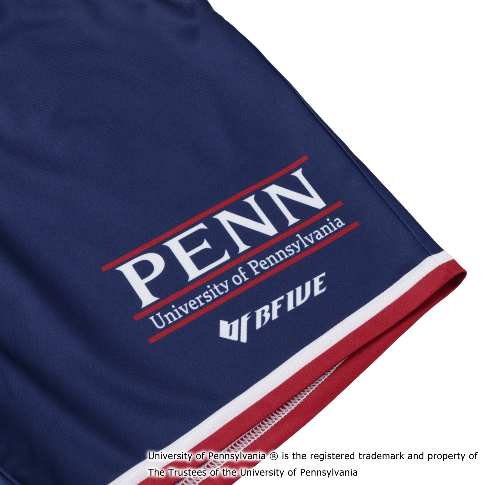 PENN IVY SHORTS NAVY [膝上丈]