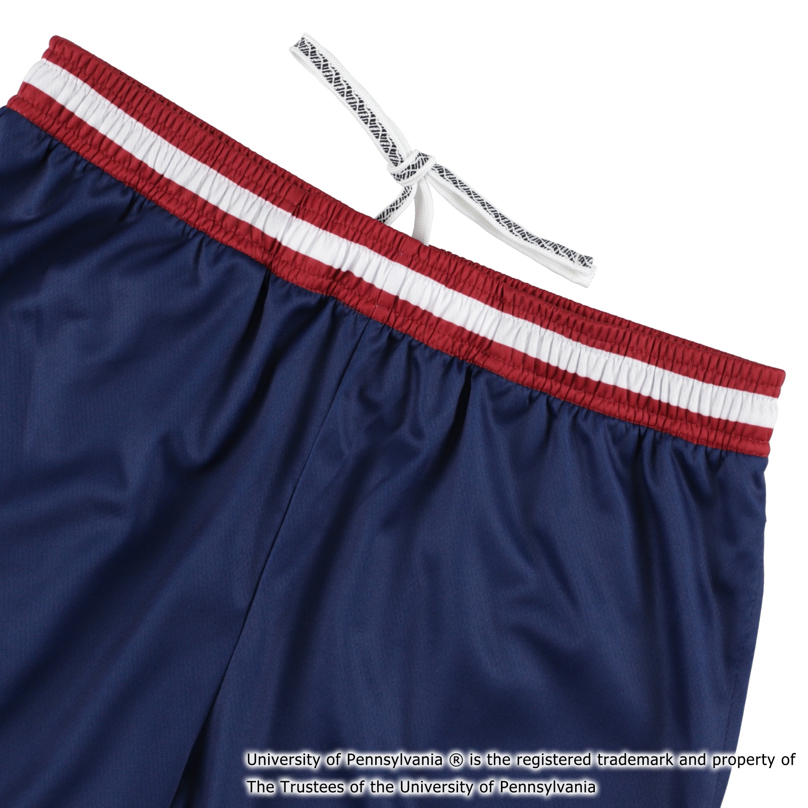 PENN IVY SHORTS NAVY [膝上丈]