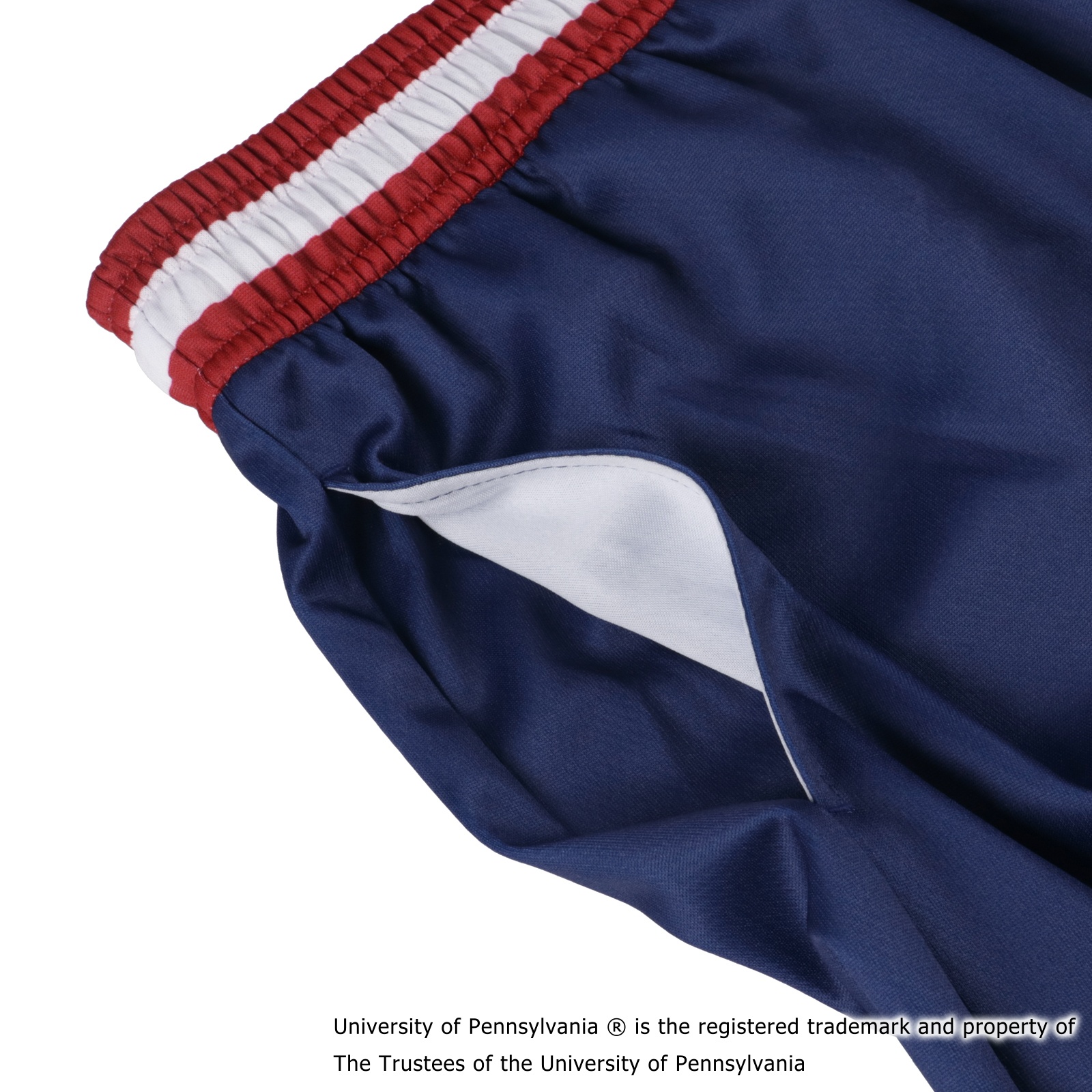 PENN IVY SHORTS NAVY [膝上丈]