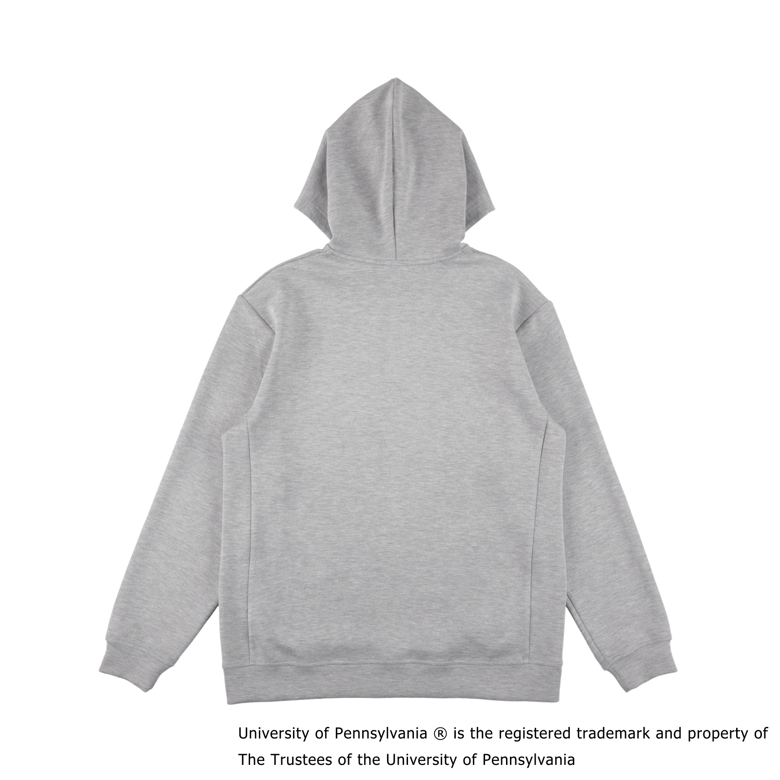 PENN SCRIPT LOGO HOODIE GRAY