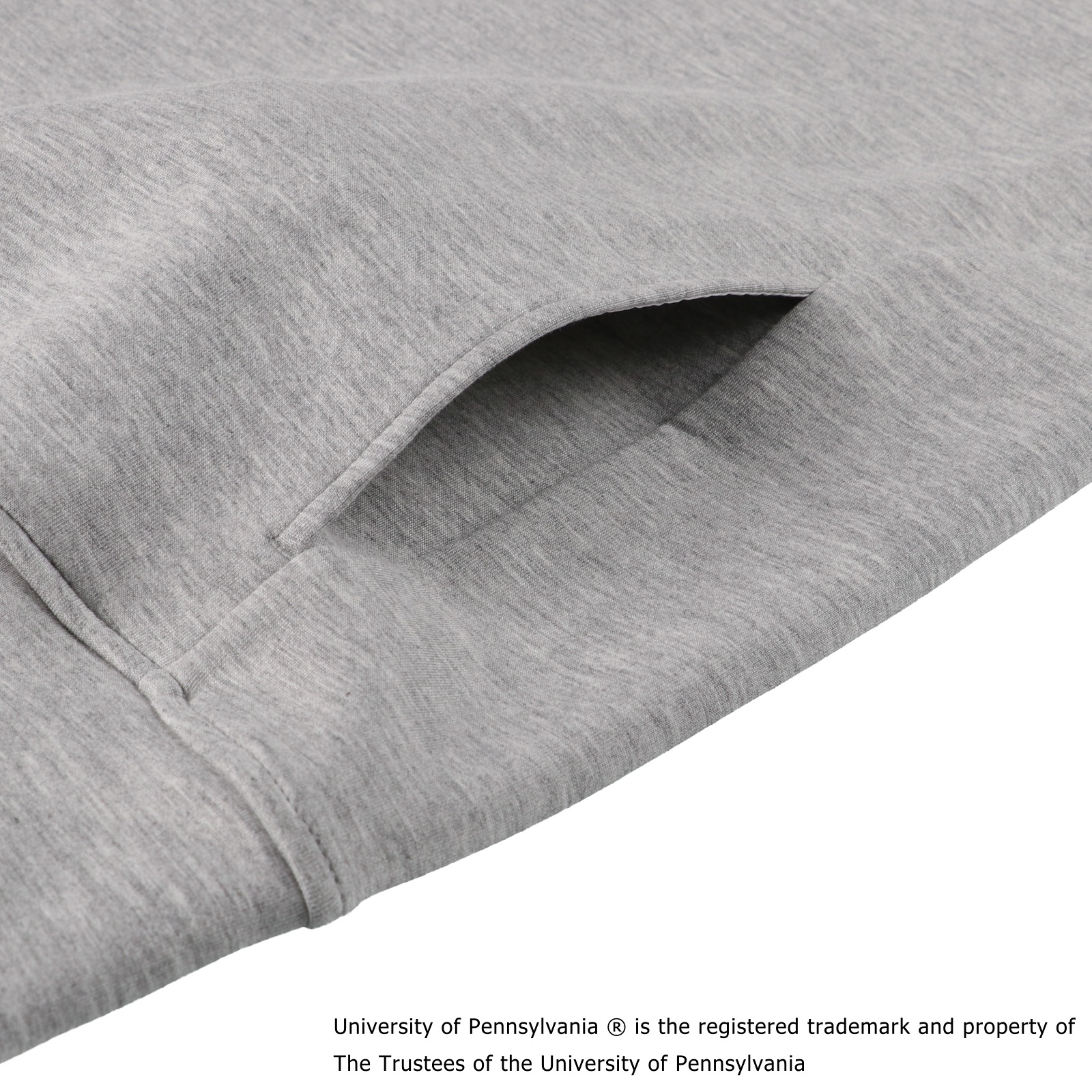PENN SCRIPT LOGO HOODIE GRAY