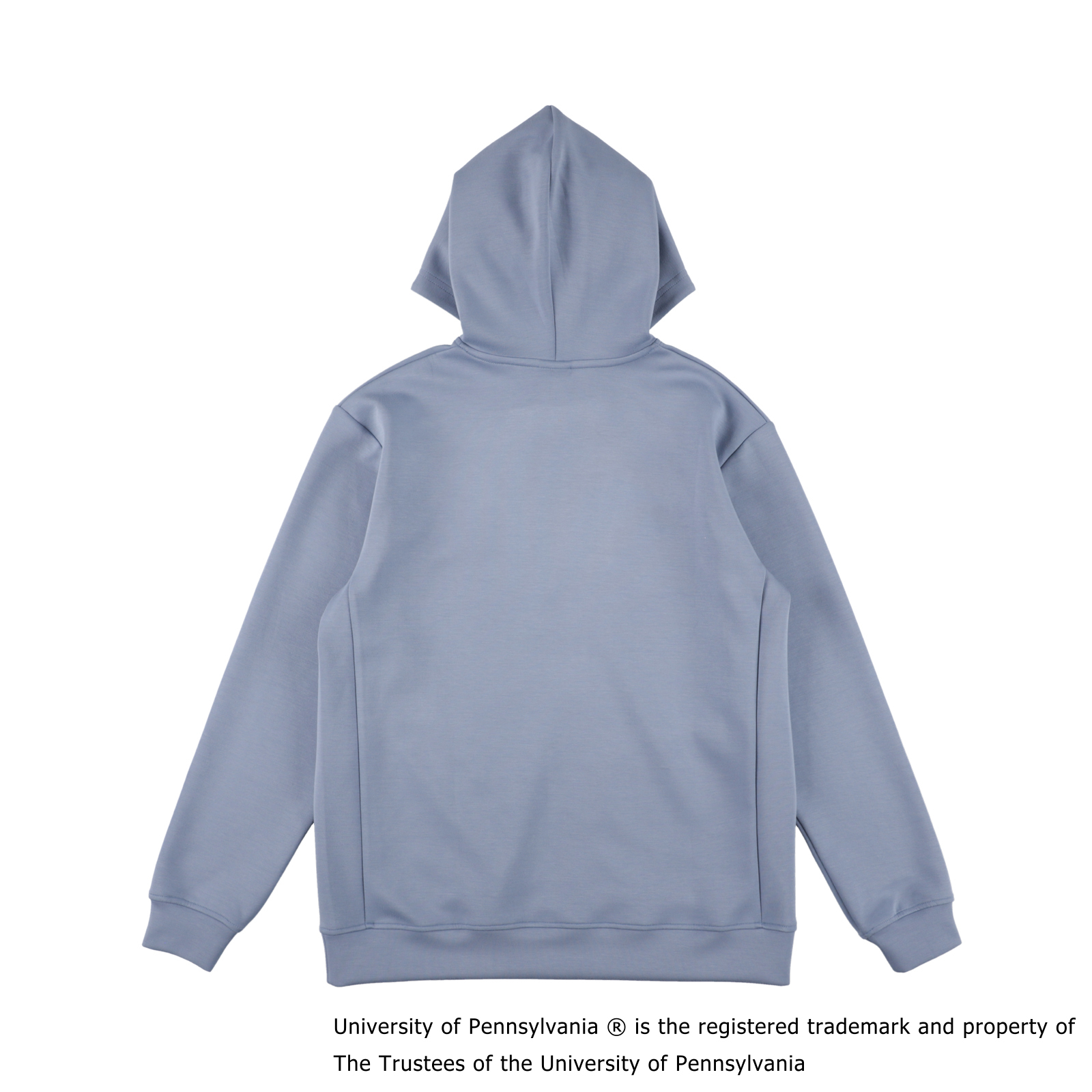PENN SCRIPT LOGO HOODIE ICE BLUE
