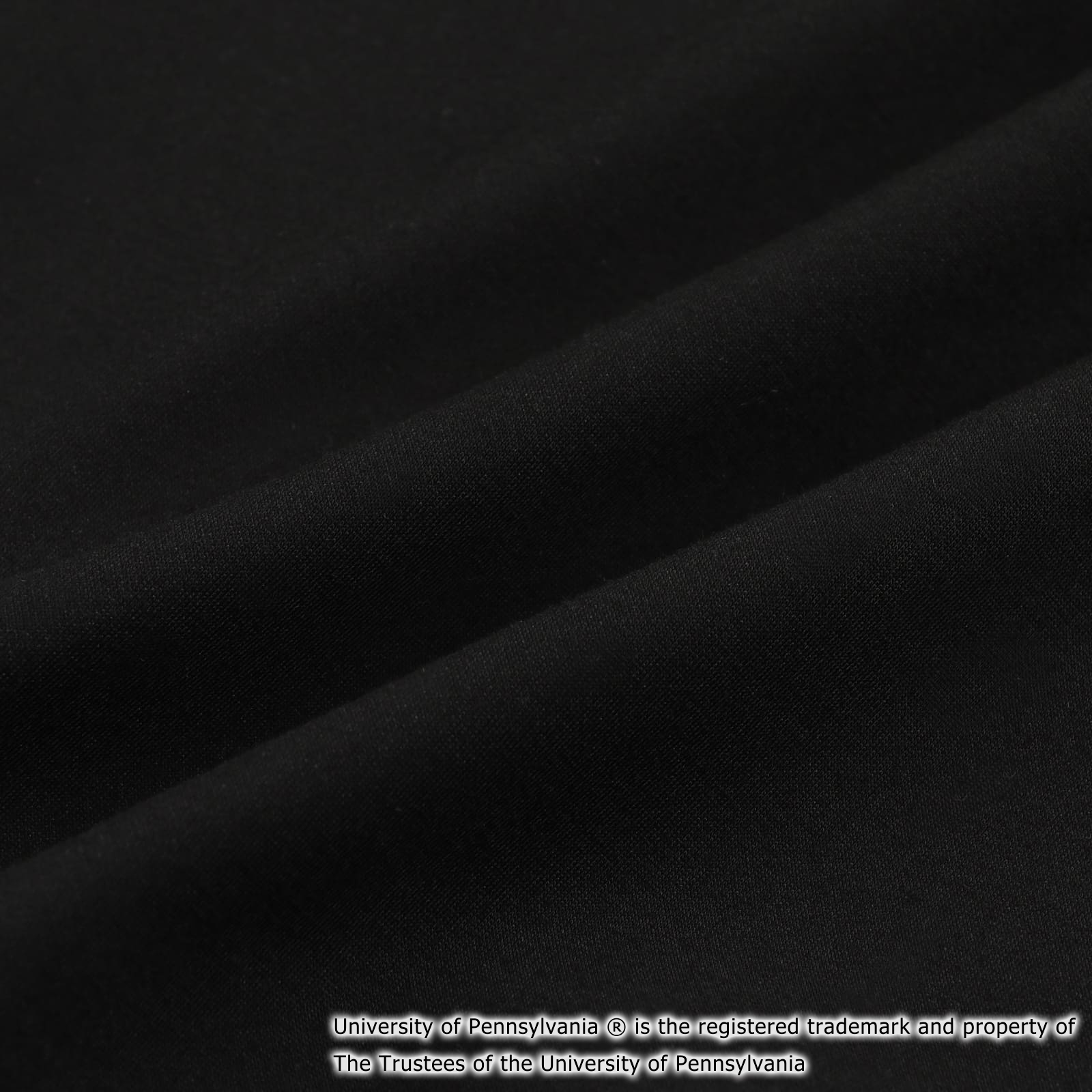 PENN ICON SWEAT BLACK