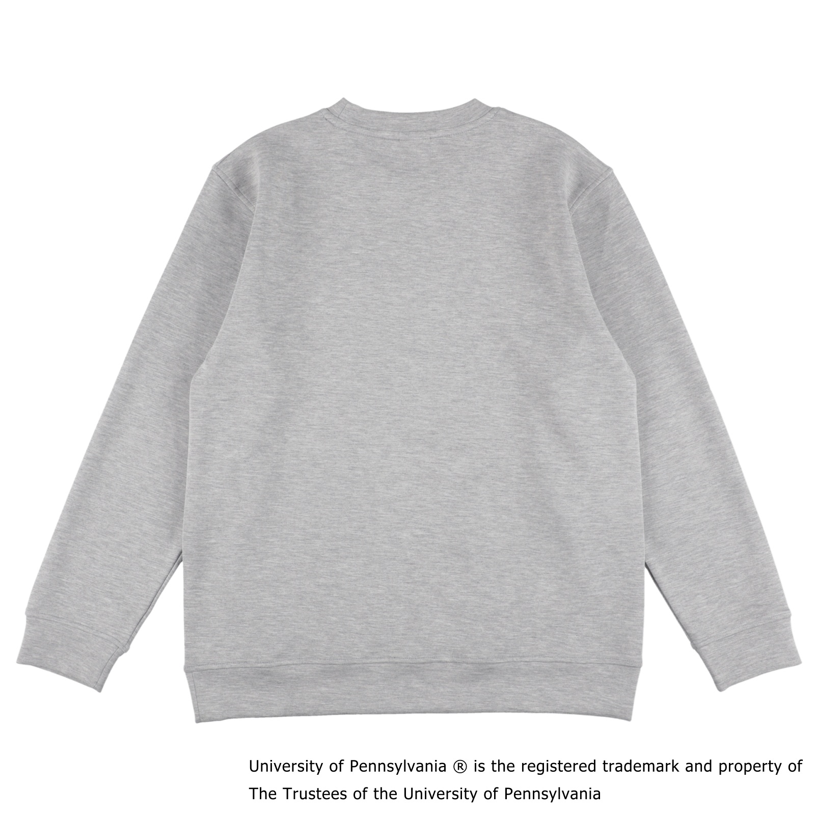 PENN ICON SWEAT GRAY