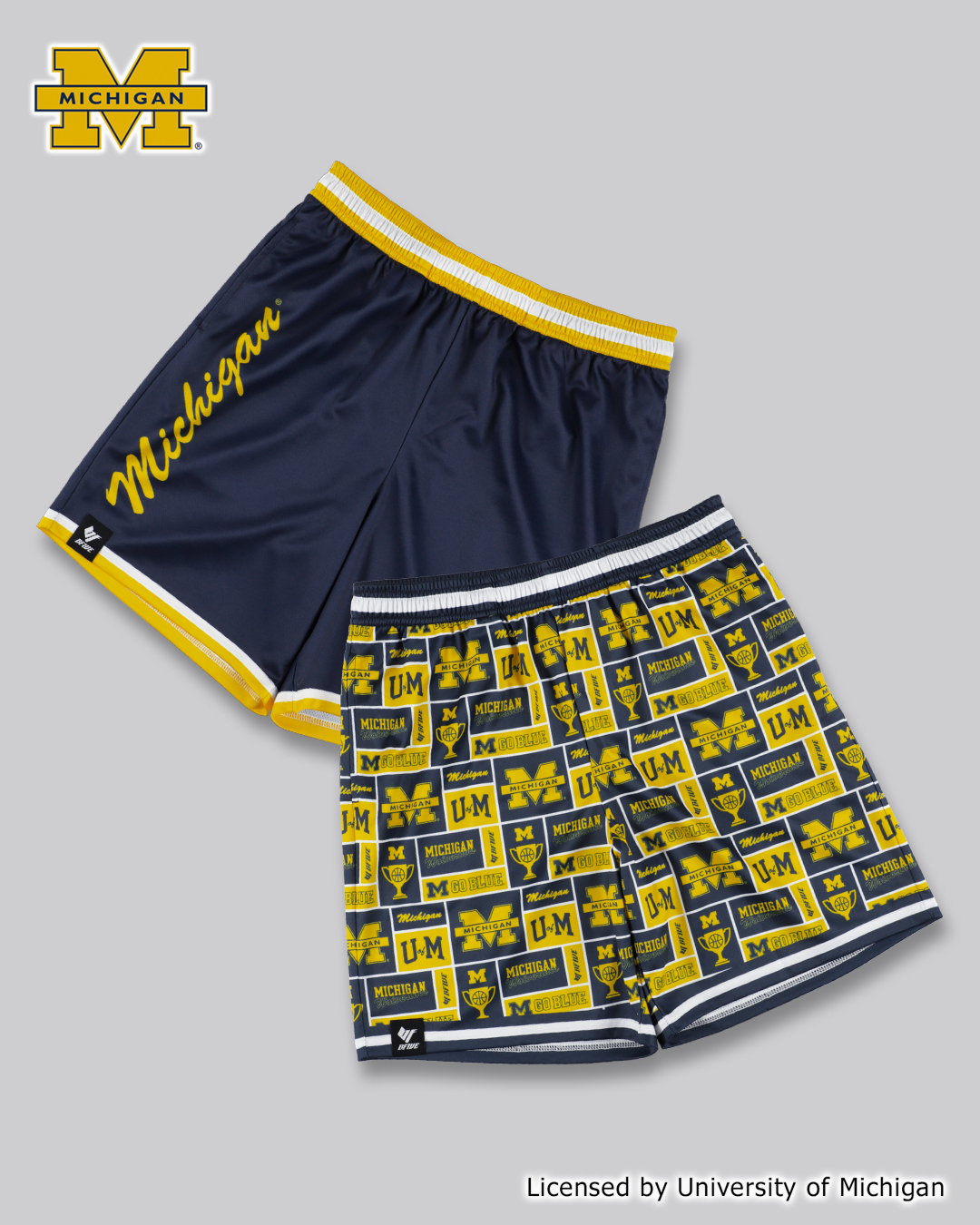 MICHIGAN college basketball collection SHORTS