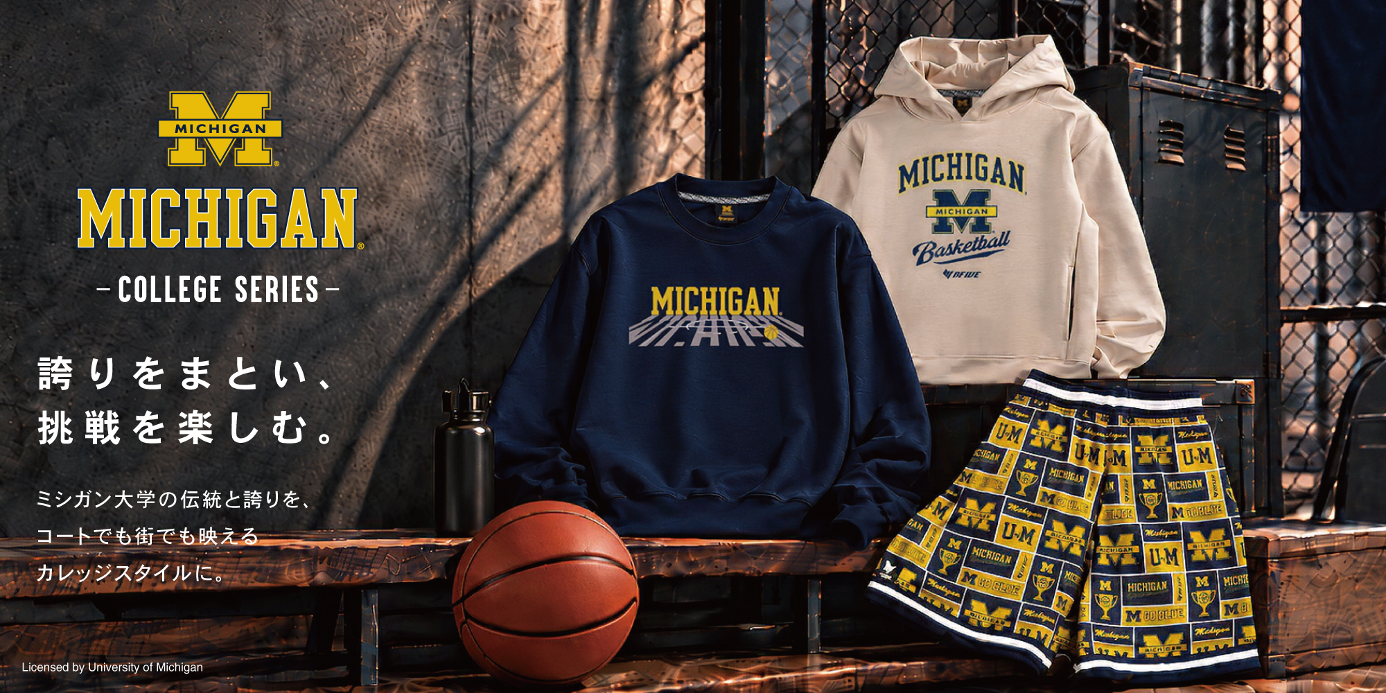 MICHIGAN college basketball collection banner