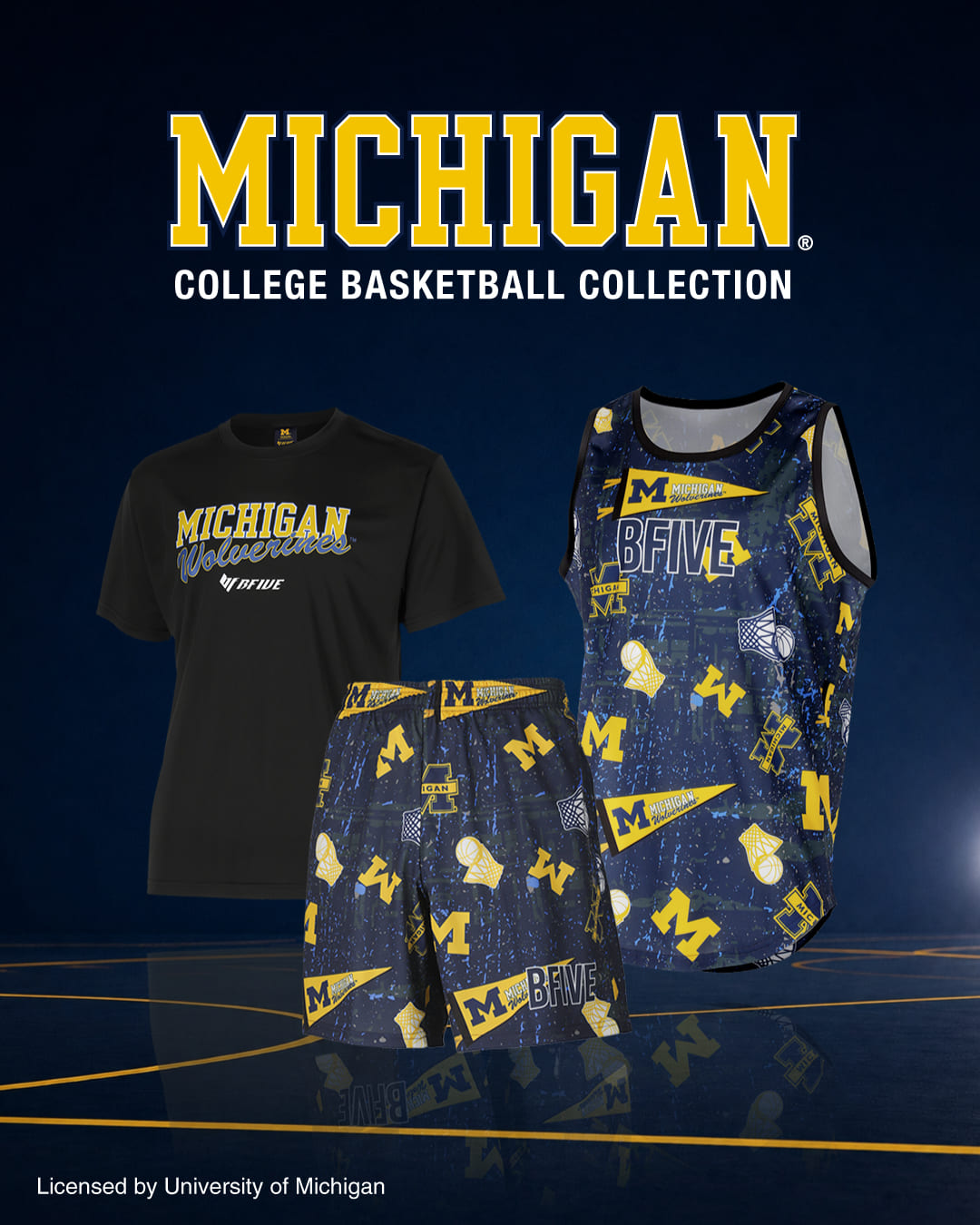 MICHIGAN college basketball collection banner