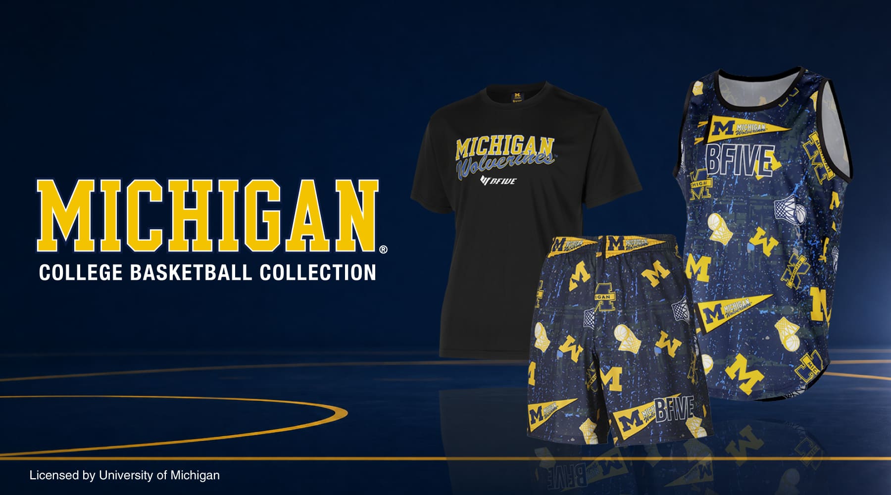 MICHIGAN college basketball collection banner